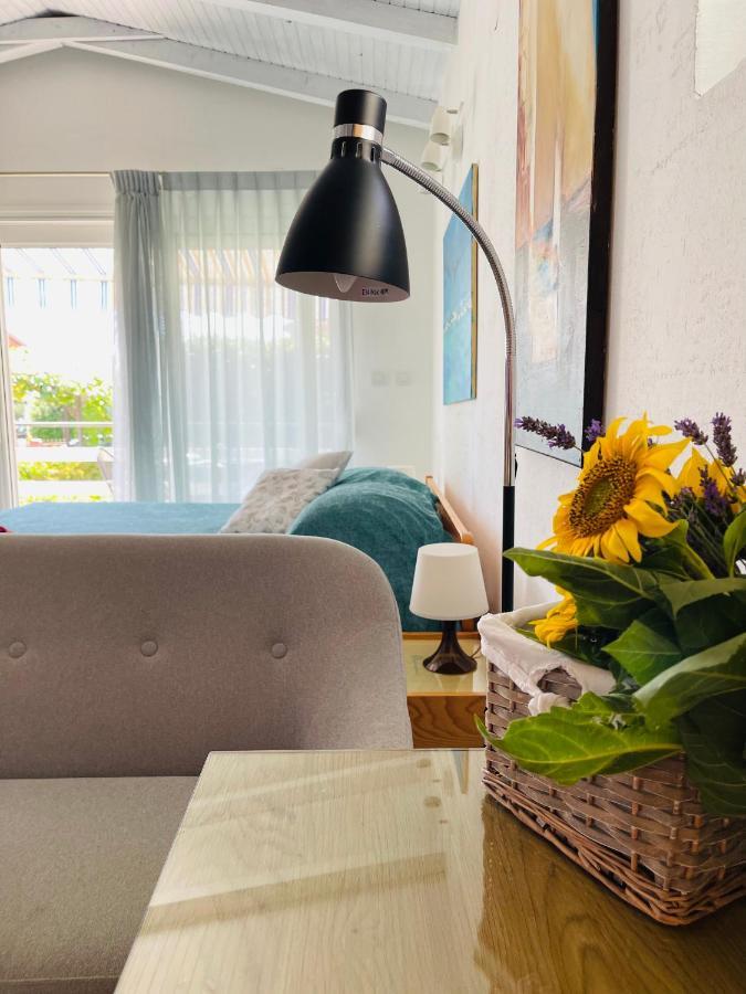 Pasiflora Studio Novigrad Istria Kültér fotó
